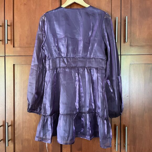 Cider Purple Sheer Mini Dress - Picture 6 of 7